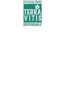 Logo Terra Vitis Franc-pt